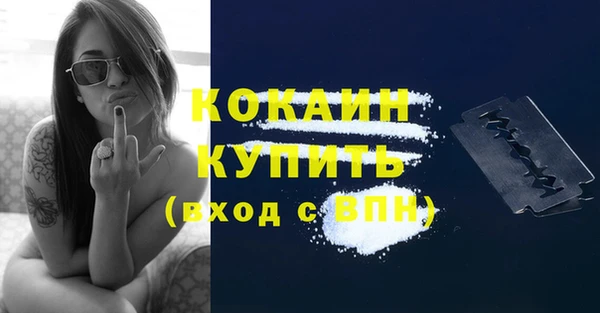apvp Пестово