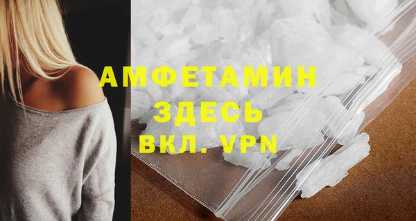 ешки Болотное