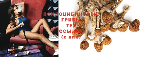 соль ск Осташков